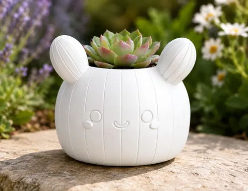 Macetero Decorativo Hogar- Forma Cactus 12 Cm - Foto 3
