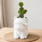 Macetero Decorativo Hogar- Michi Gorra 17 Cm - Miniatura 6