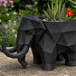 Macetero Decorativo Hogar- Forma Mamut 15 Cm - Miniatura 5