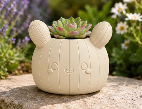 Macetero Decorativo Hogar- Forma Cactus 12 Cm - Foto 5