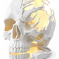 Lámpara Calavera 3d Led Decorativa - Miniatura 1