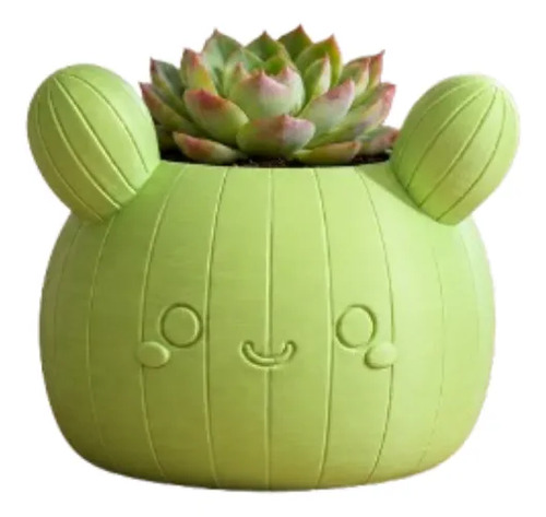 Macetero Decorativo Hogar- Forma Cactus 12 Cm