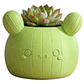 Macetero Decorativo Hogar- Forma Cactus 12 Cm - Miniatura 1