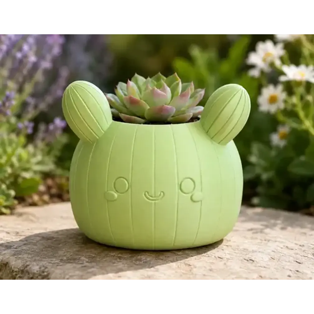 Macetero Decorativo Hogar- Forma Cactus 12 Cm 3