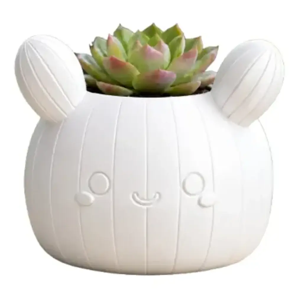 Macetero Decorativo Hogar- Forma Cactus 12 Cm 7