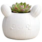 Macetero Decorativo Hogar- Forma Cactus 12 Cm - Miniatura 7