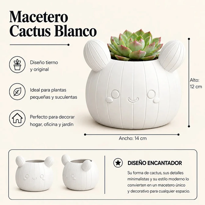 Macetero Decorativo Hogar- Forma Cactus 12 Cm 8
