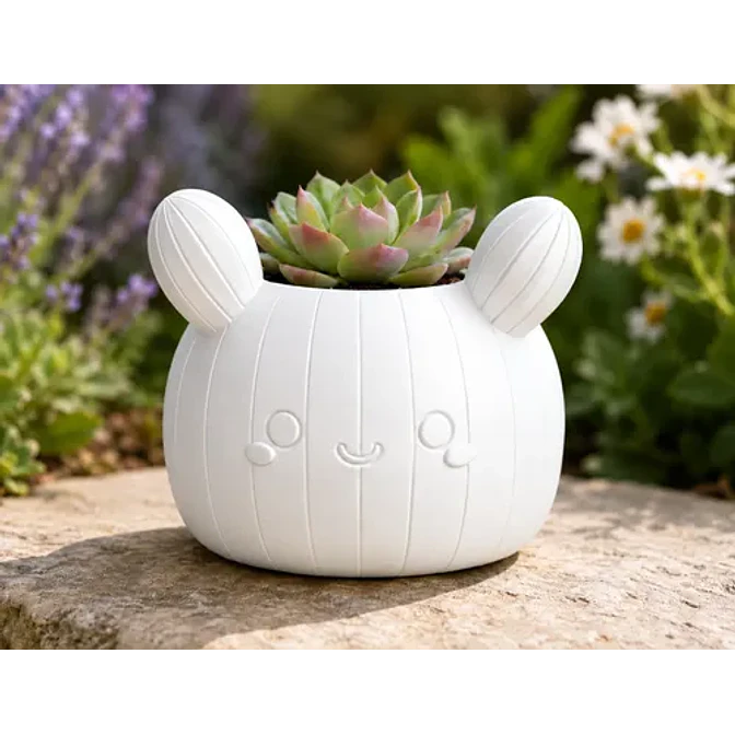 Macetero Decorativo Hogar- Forma Cactus 12 Cm 9