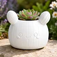Macetero Decorativo Hogar- Forma Cactus 12 Cm - Miniatura 9