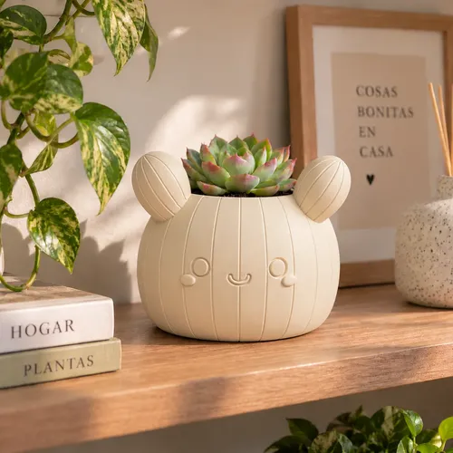Macetero Decorativo Hogar- Forma Cactus 12 Cm - Foto 15