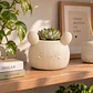 Macetero Decorativo Hogar- Forma Cactus 12 Cm - Miniatura 15
