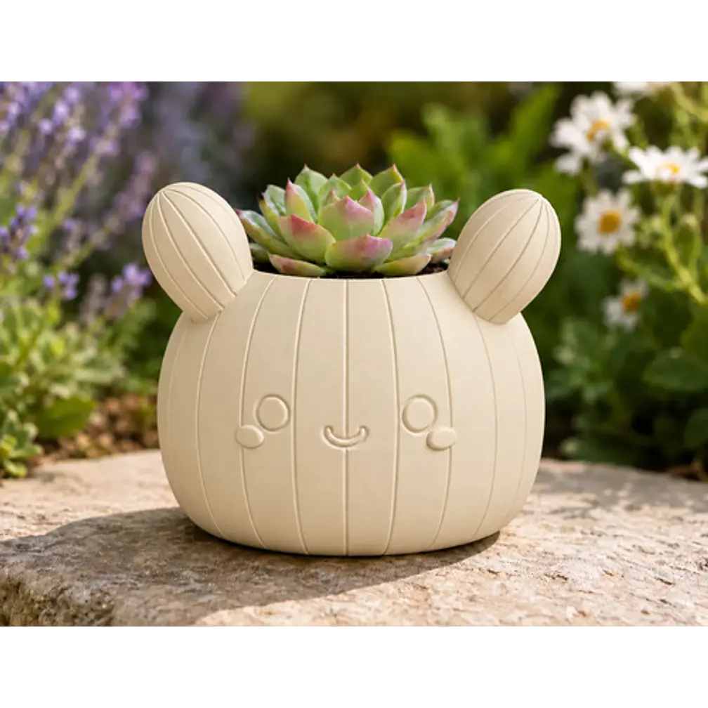 Macetero Decorativo Hogar- Forma Cactus 12 Cm 17