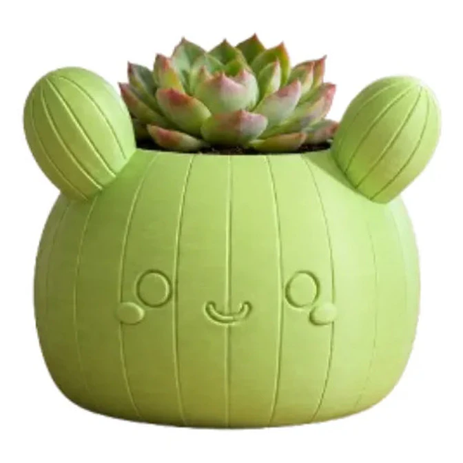 Macetero Decorativo Hogar- Forma Cactus 12 Cm 19