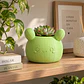 Macetero Decorativo Hogar- Forma Cactus 12 Cm - Miniatura 23