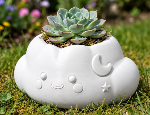Macetero Decorativo Hogar- Forma Nube 10 Cm - Foto 12