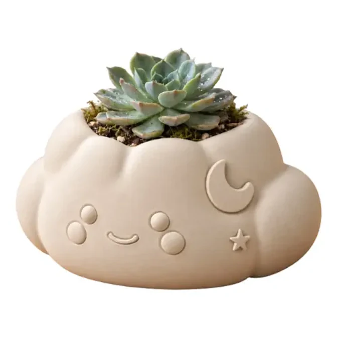 Macetero Decorativo Hogar- Forma Nube 10 Cm 13
