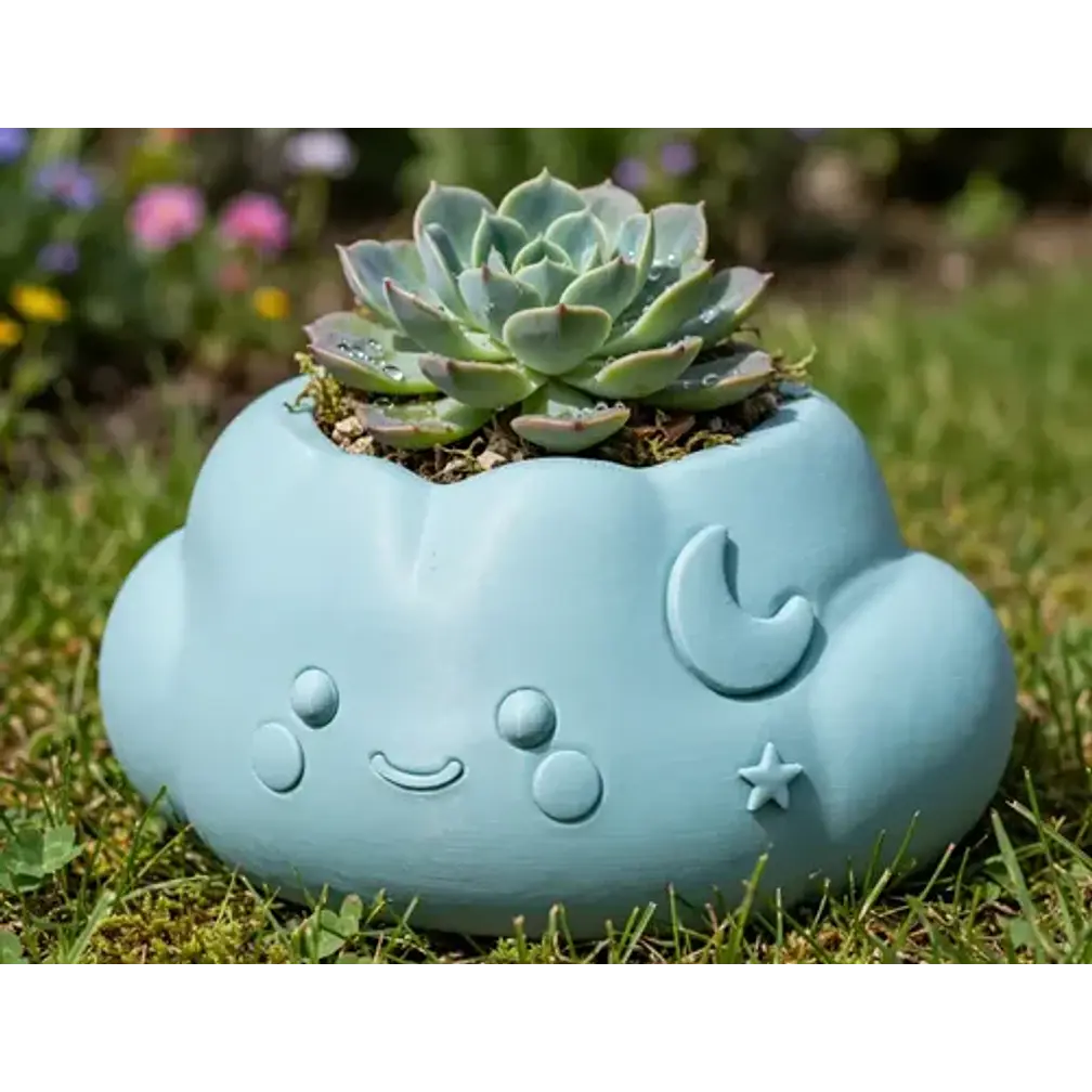 Macetero Decorativo Hogar- Forma Nube 10 Cm 22