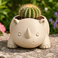 Macetero Decorativo Hogar- Rinoceronte 8 Cm - Miniatura 10