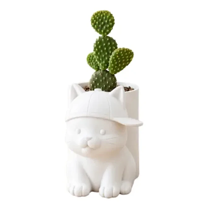 Macetero Decorativo Hogar- Michi Gorra 17 Cm 7