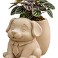 Macetero Decorativo Hogar- Perrito Oficinista 20 Cm - Miniatura 7