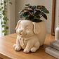 Macetero Decorativo Hogar- Perrito Oficinista 20 Cm - Miniatura 9