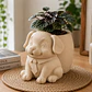 Macetero Decorativo Hogar- Perrito Oficinista 20 Cm - Miniatura 10