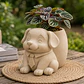 Macetero Decorativo Hogar- Perrito Oficinista 20 Cm - Miniatura 11