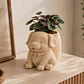 Macetero Decorativo Hogar- Perrito Oficinista 20 Cm - Miniatura 12