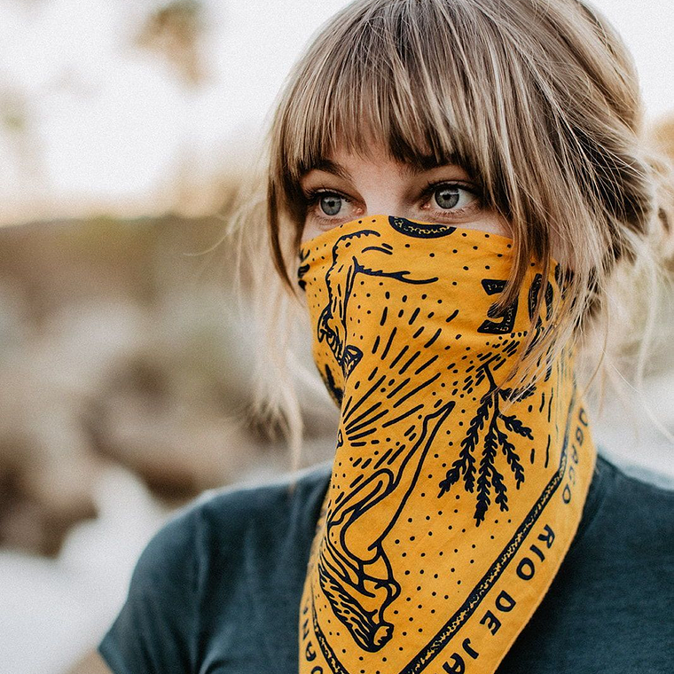 Pañoleta - bandana 2