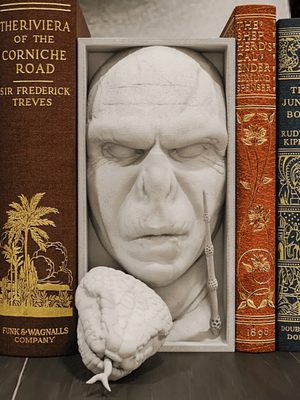 Voldemort Book Nook