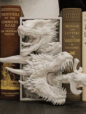 Drogon Book Nook
