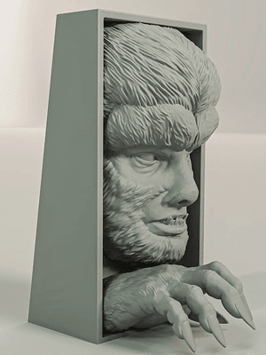 The Wolf man Book Nook