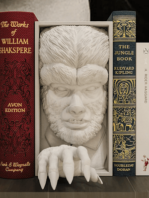 The Wolf man Book Nook