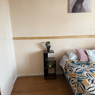 Arriendo propiedad principal más casa interior 