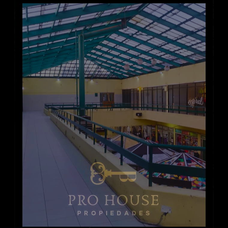 Locales Galería Patagonia  1