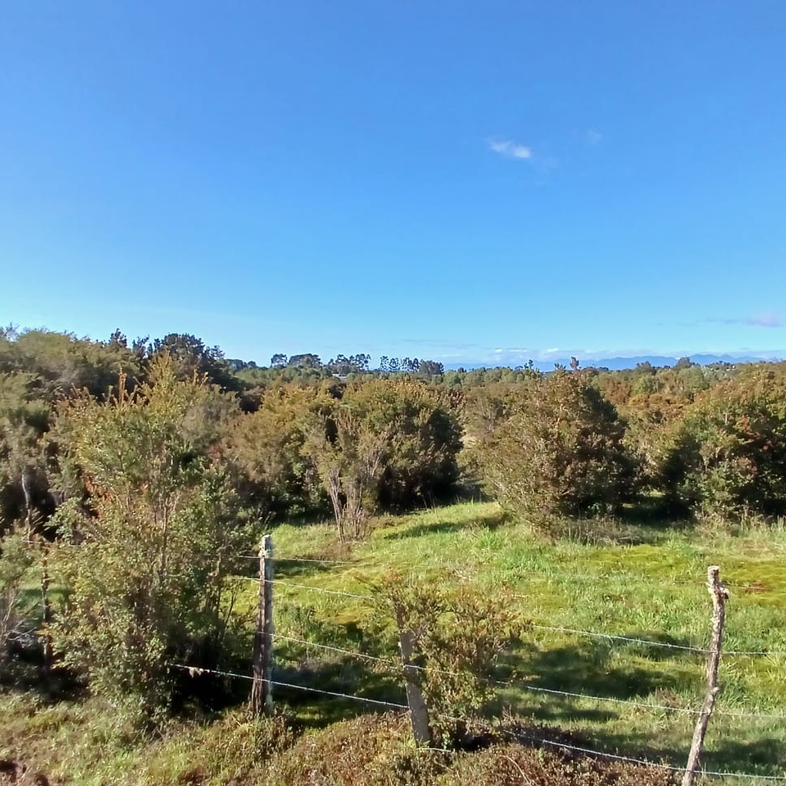 10 Hectáreas en venta  1