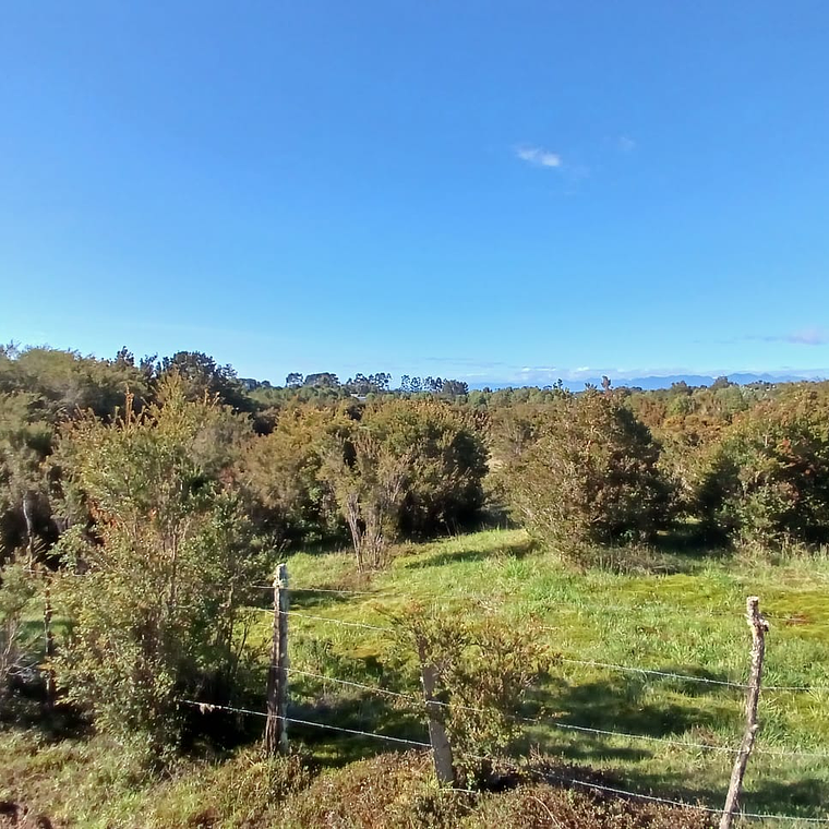 10 Hectáreas en venta  1