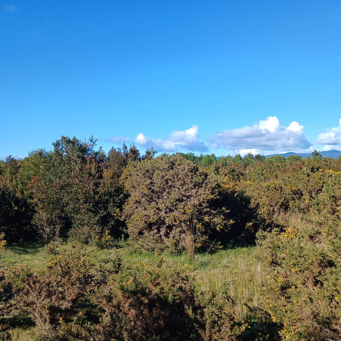 10 Hectáreas en venta  2