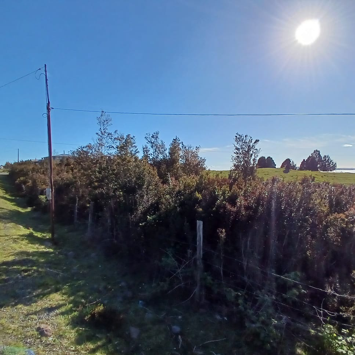 10 Hectáreas en venta  3