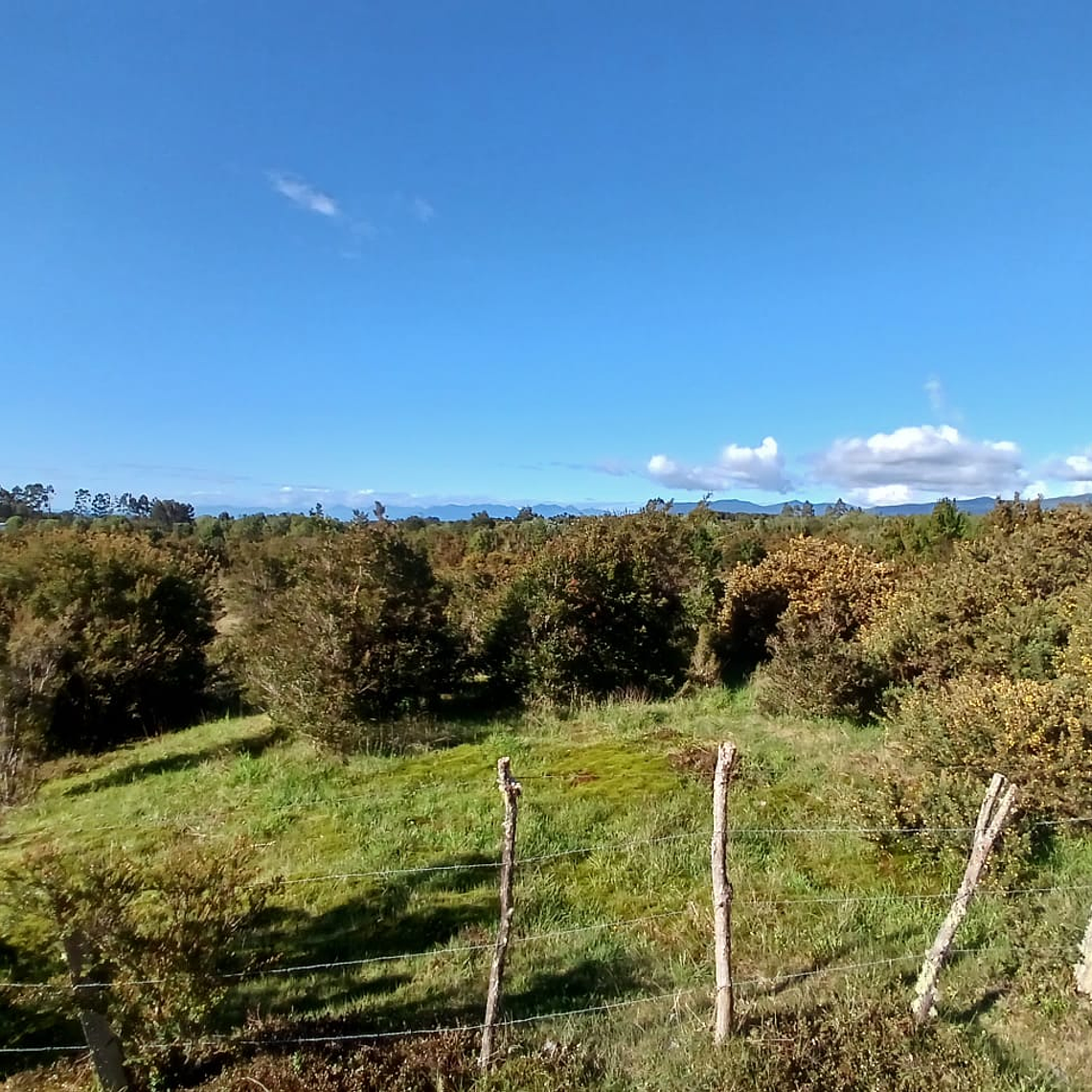 10 Hectáreas en venta  4