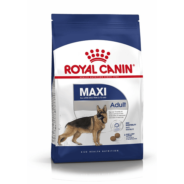 Maxi Adulto 8+ 15 Kg