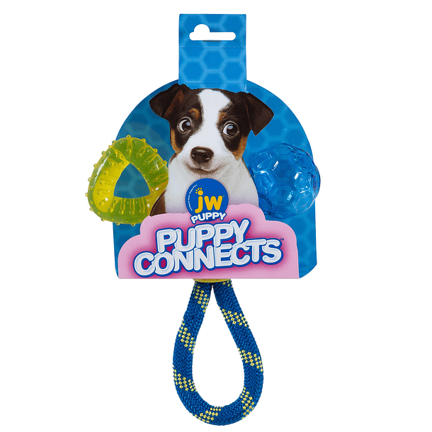 Puppy Connects 1