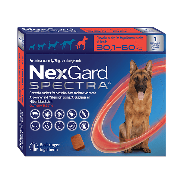 NEXGARD SPECTRA 30-60 KG