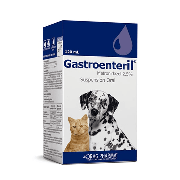 gastroenteril 