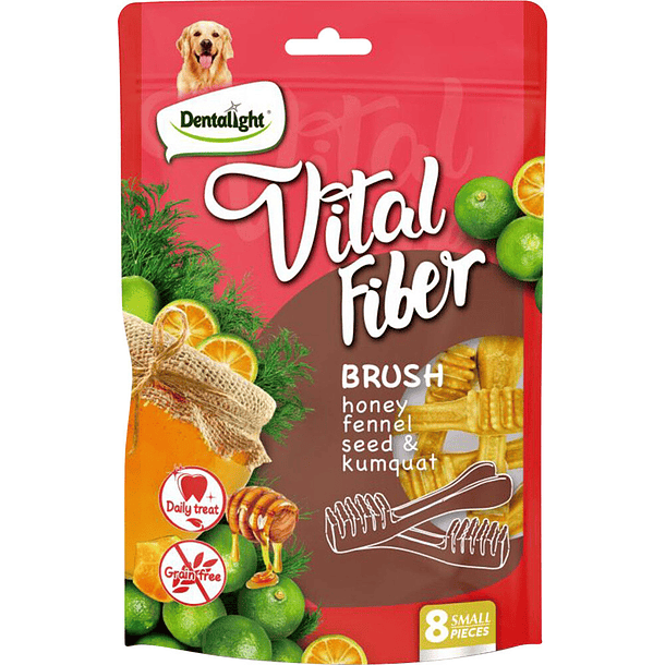 Snacks Vital Fiber Brush Miel, Hinojo, Semillas y Naranja China 8un