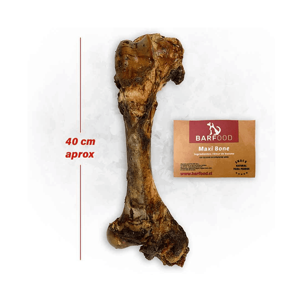 Barfood Maxi Bone Fémur de Vacuno