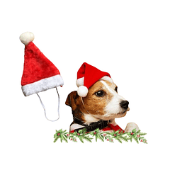 GORRO DE SANTA CLAUS 20 X 14 CM