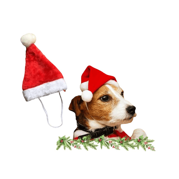 GORRO DE SANTA CLAUS 20 X 14 CM