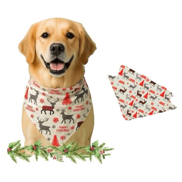 BANDANA RENOS Y NIEVE / VIEJO PASCUERO 2