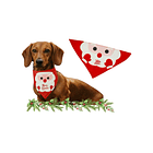 BANDANA RENOS Y NIEVE / VIEJO PASCUERO 1